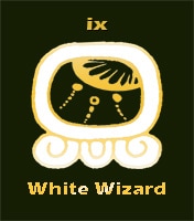 white wizard.tzolkin,maya calendar,truewisdom,doron shapira,sun sign,galactic tribe,RotemTW,