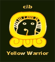 Yellow ​WARRIOR : Question  Fearlessness - Intelligence,