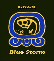 Blue ​STORM : Catalyze - Energy -  Self-generation,