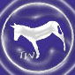 TW_logo TrueWisdom.ws